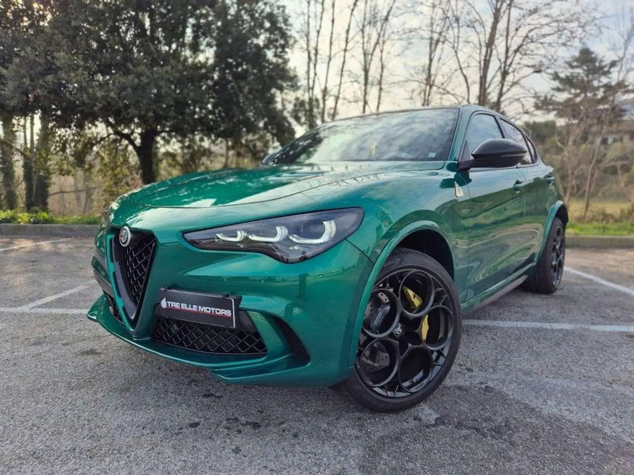 Photo 1 : Alfa Romeo Stelvio 2024 Petrol