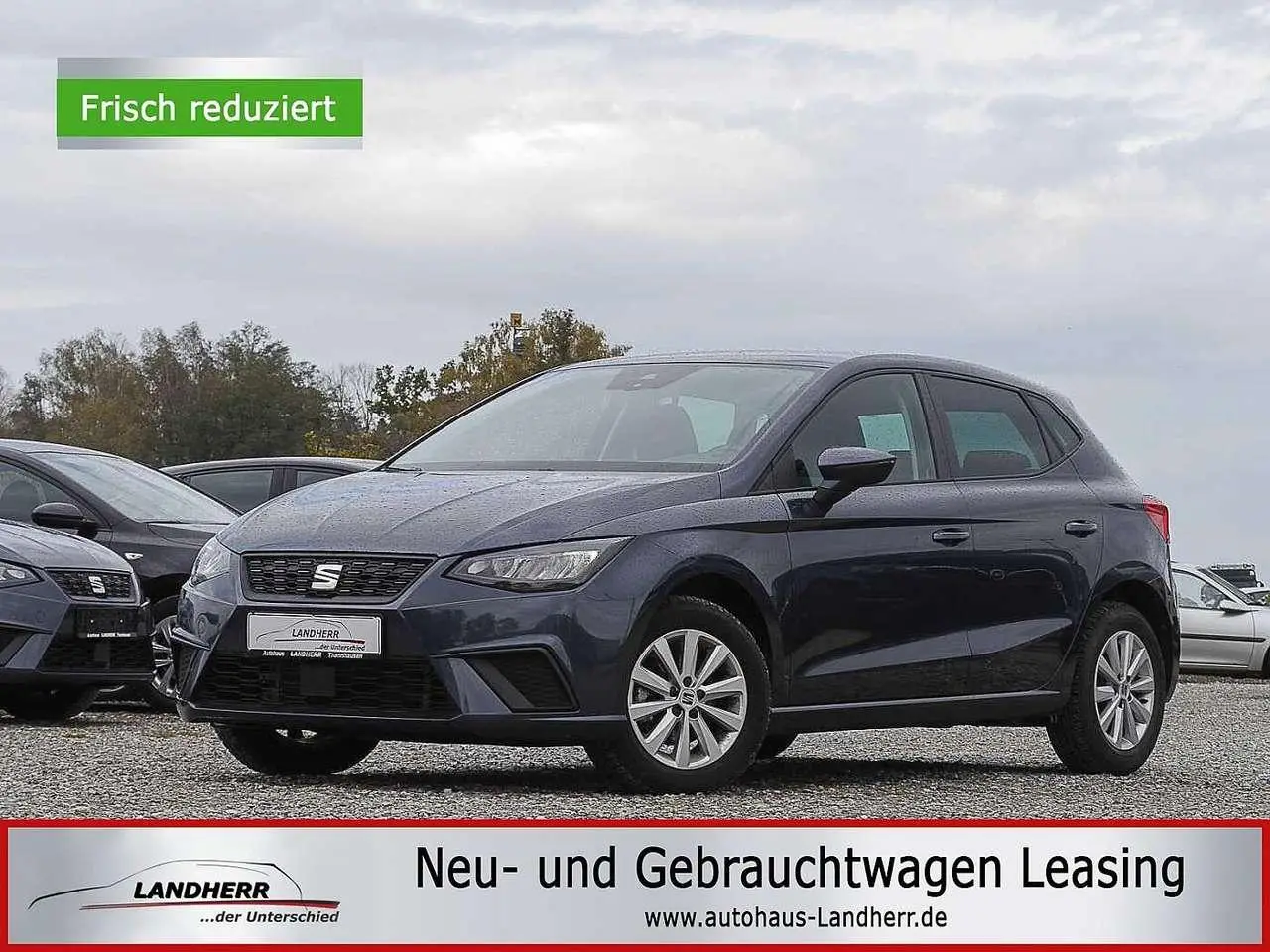 Photo 1 : Seat Ibiza 2024 Petrol