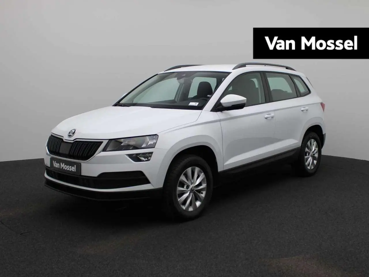 Photo 1 : Skoda Karoq 2019 Diesel