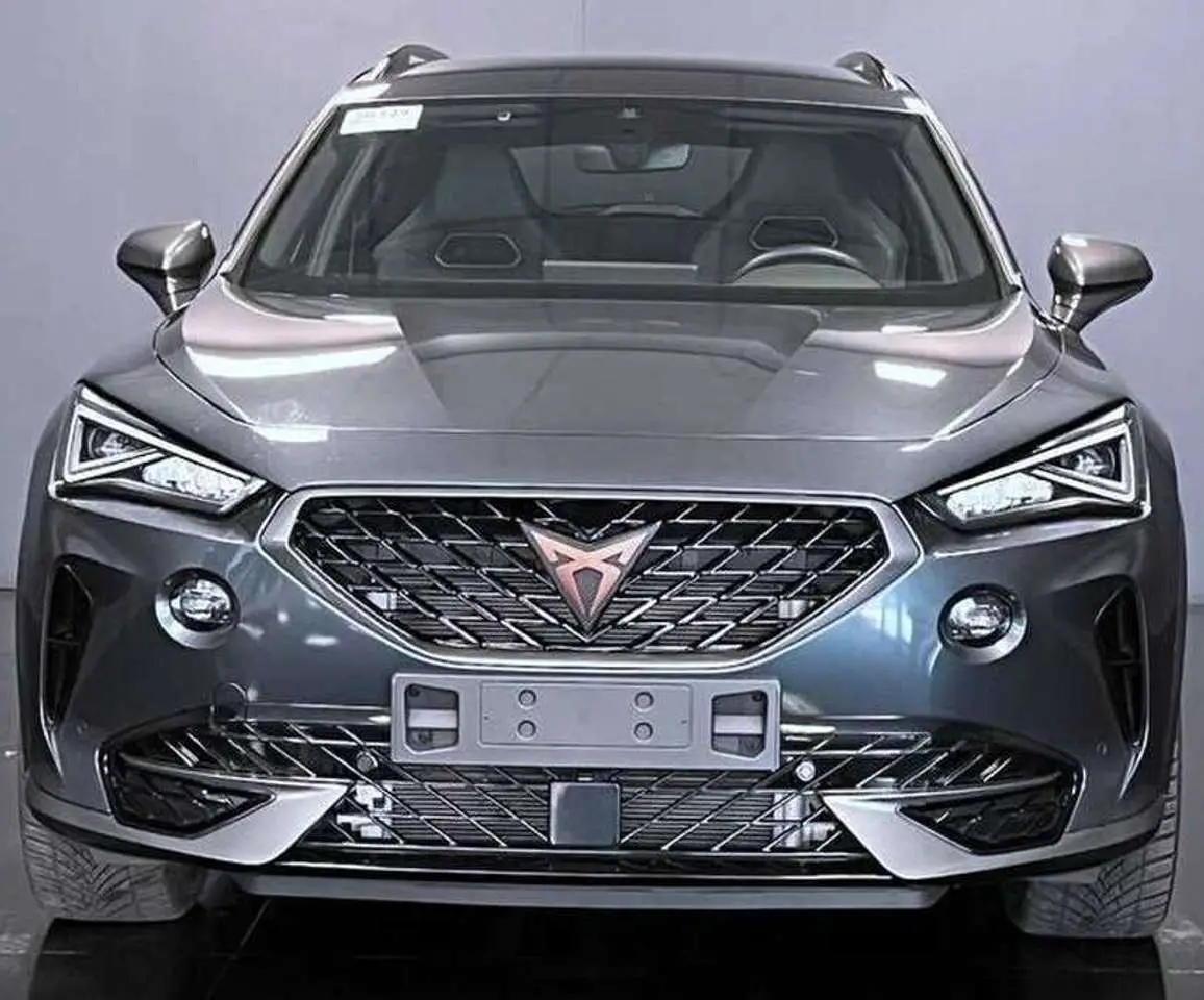 Photo 1 : Cupra Formentor 2022 Hybride