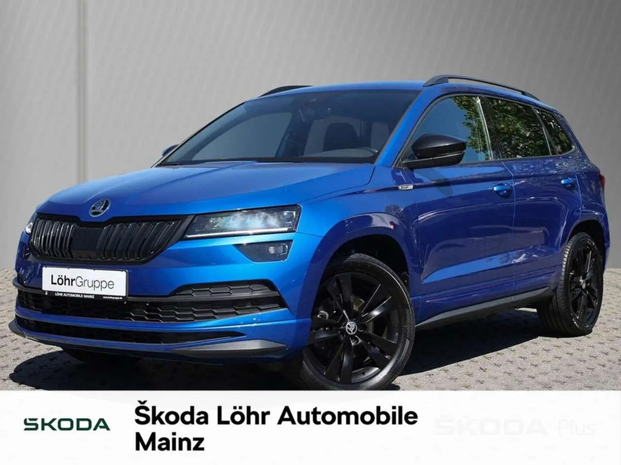 Photo 1 : Skoda Karoq 2019 Petrol