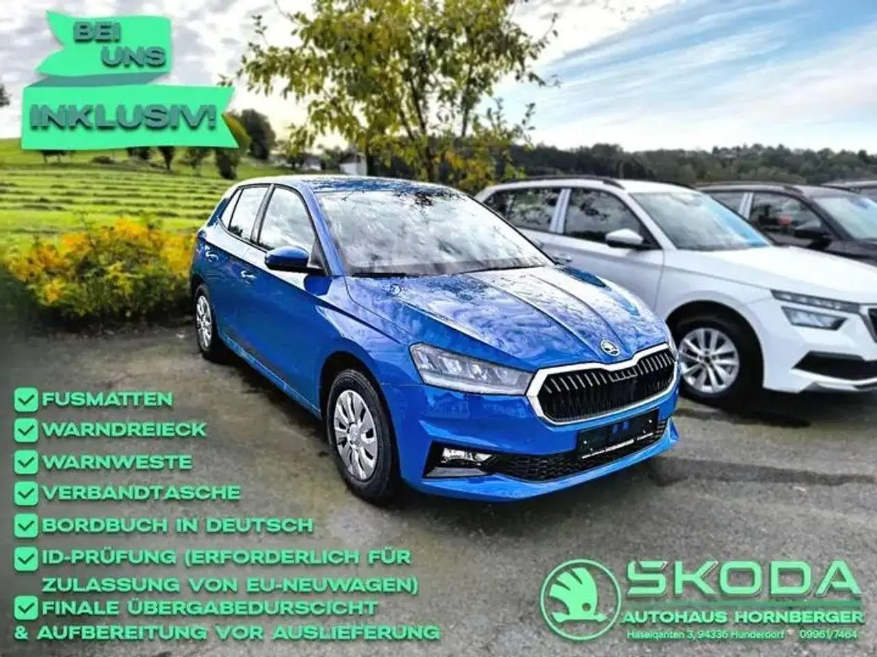 Photo 1 : Skoda Fabia 2024 Petrol