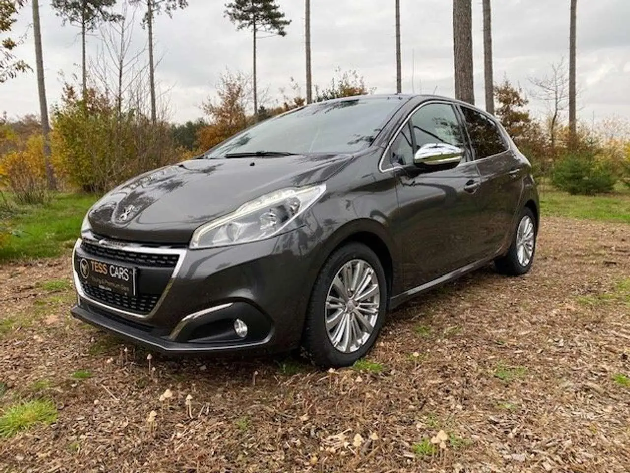 Photo 1 : Peugeot 208 2019 Petrol