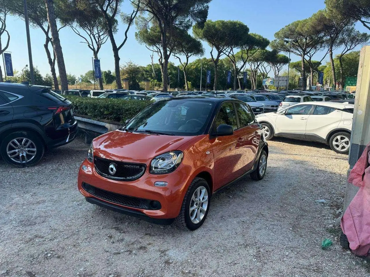 Photo 1 : Smart Forfour 2019 Essence