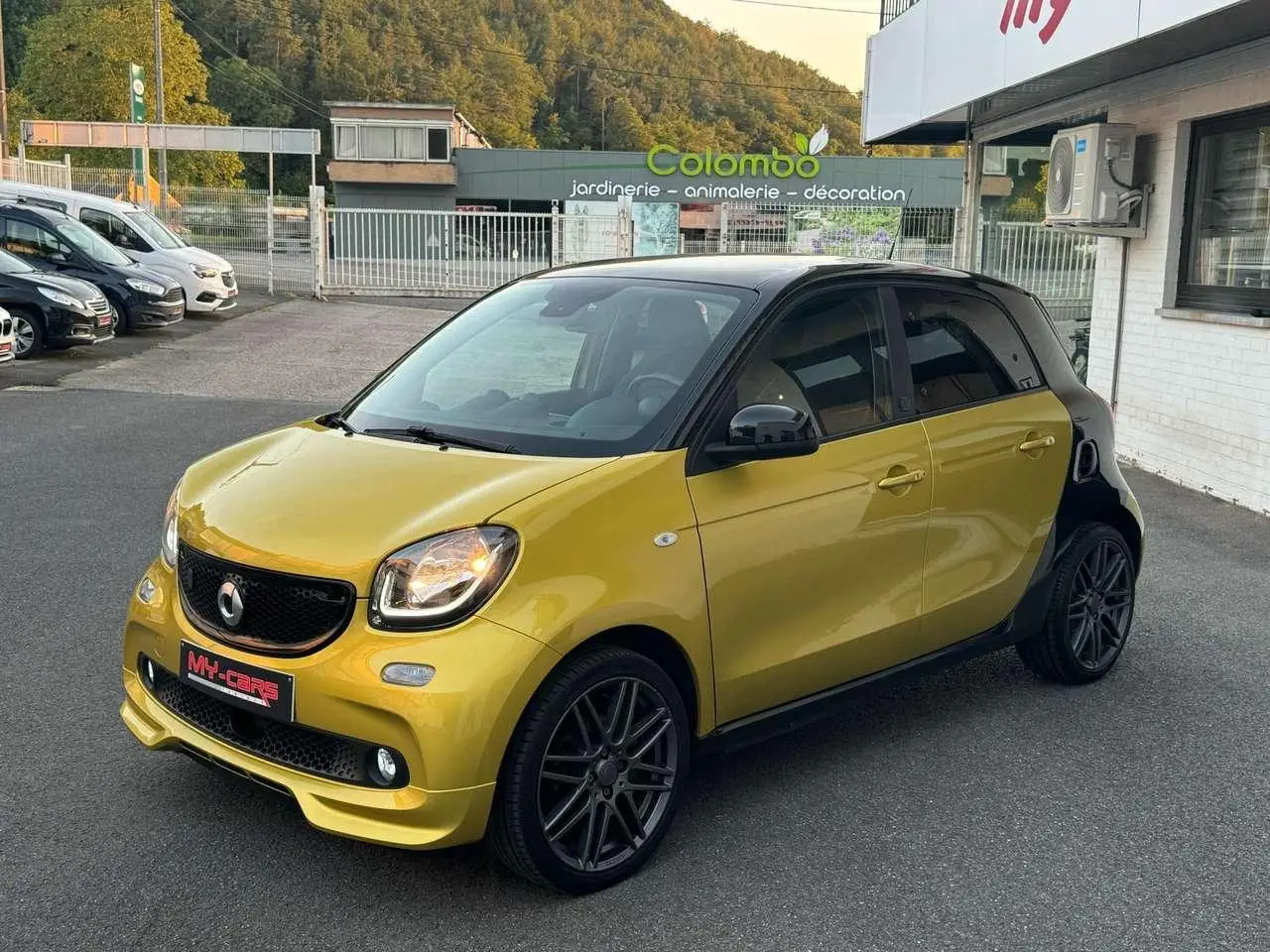 Photo 1 : Smart Forfour 2019 Electric