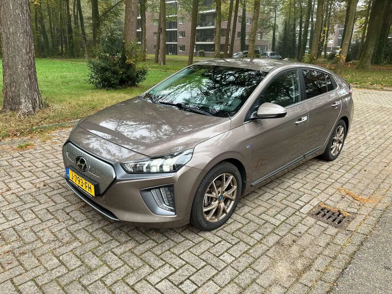 Photo 1 : Hyundai Ioniq 2019 Electric