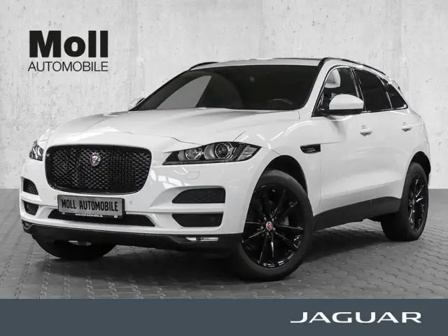 Photo 1 : Jaguar F-pace 2018 Petrol