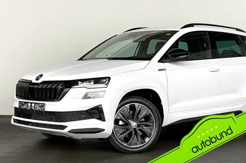 Photo 1 : Skoda Karoq 2023 Petrol