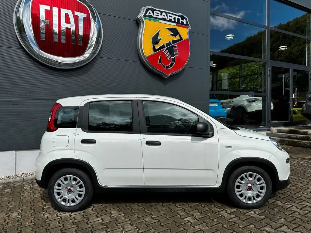 Photo 1 : Fiat Panda 2024 Petrol