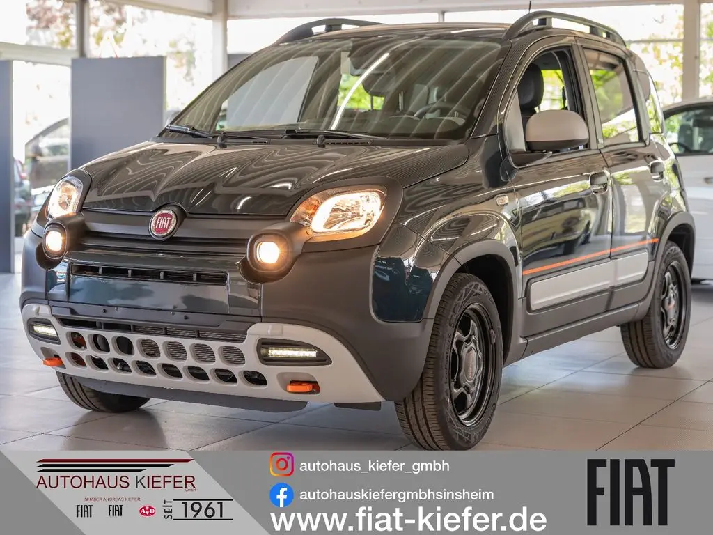 Photo 1 : Fiat Panda 2024 Petrol