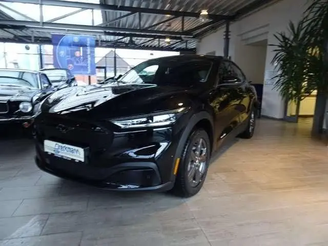 Photo 1 : Ford Mustang 2023 Not specified