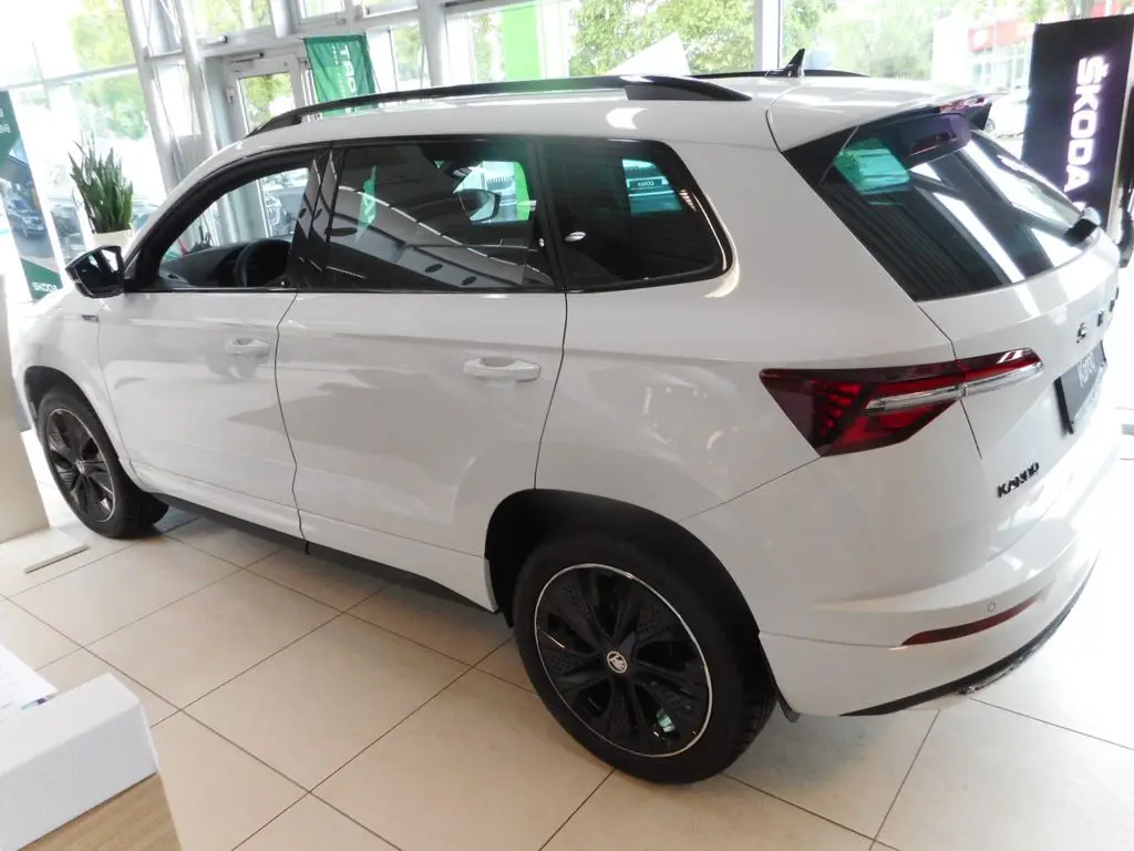 Photo 1 : Skoda Karoq 2024 Essence