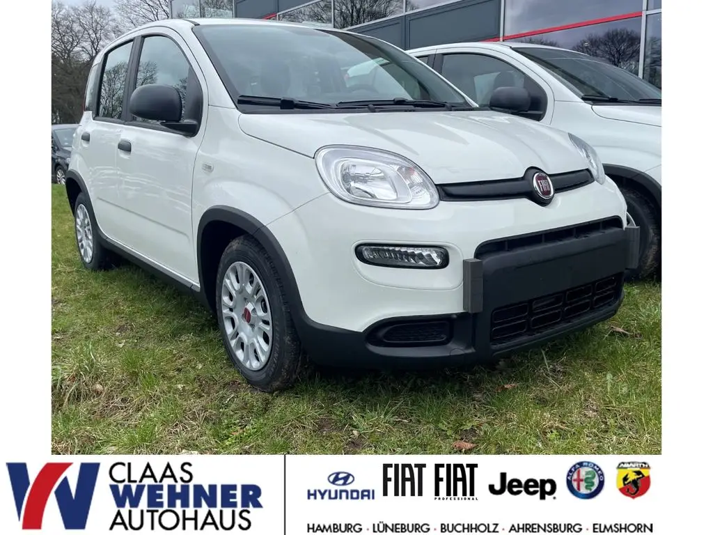 Photo 1 : Fiat Panda 2023 Petrol