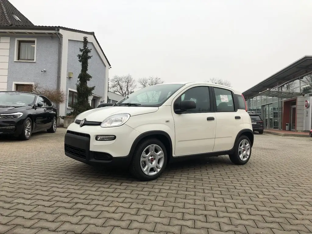 Photo 1 : Fiat Panda 2024 Petrol