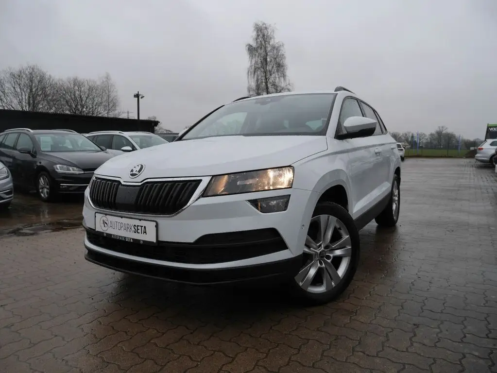 Photo 1 : Skoda Karoq 2019 Diesel