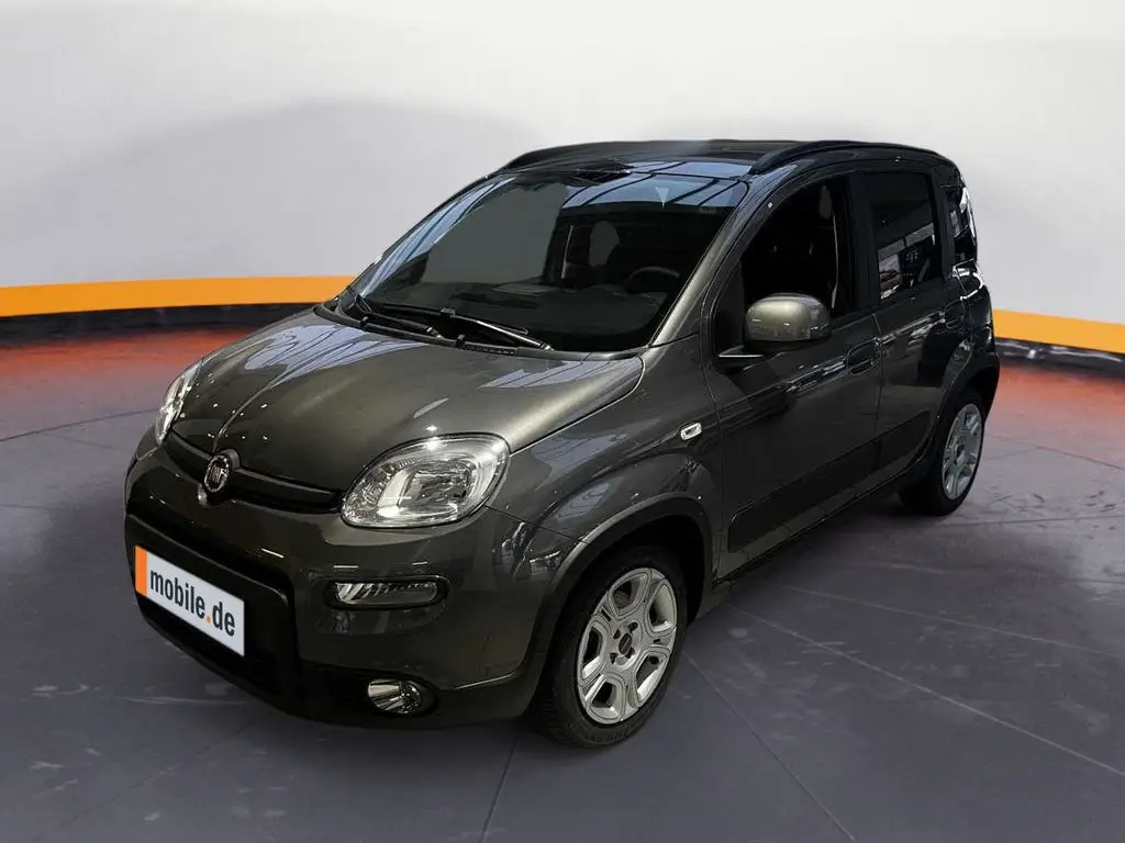 Photo 1 : Fiat Panda 2024 Petrol