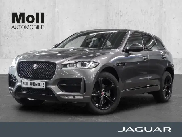 Photo 1 : Jaguar F-pace 2020 Diesel