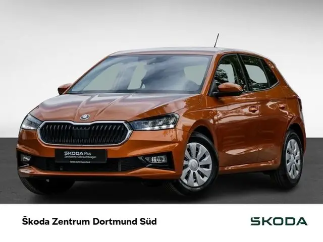 Photo 1 : Skoda Fabia 2023 Petrol