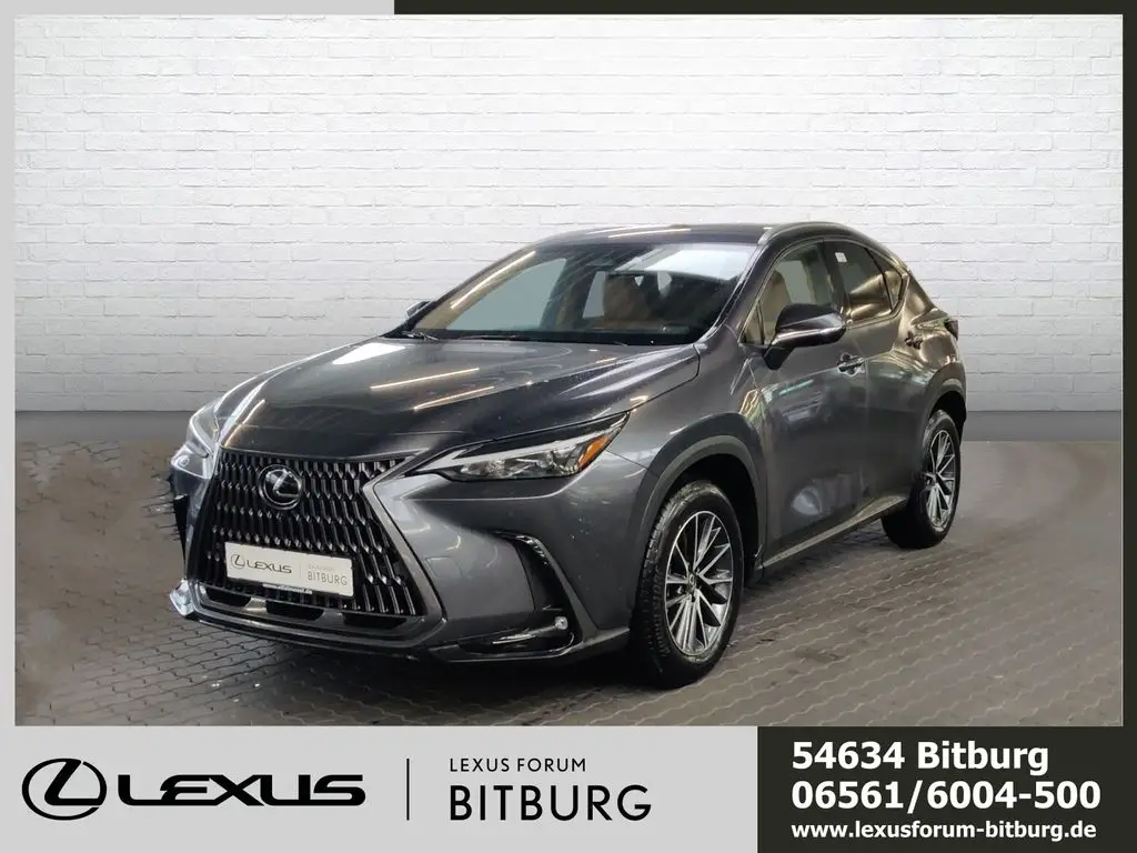 Photo 1 : Lexus Nx 2024 Hybrid