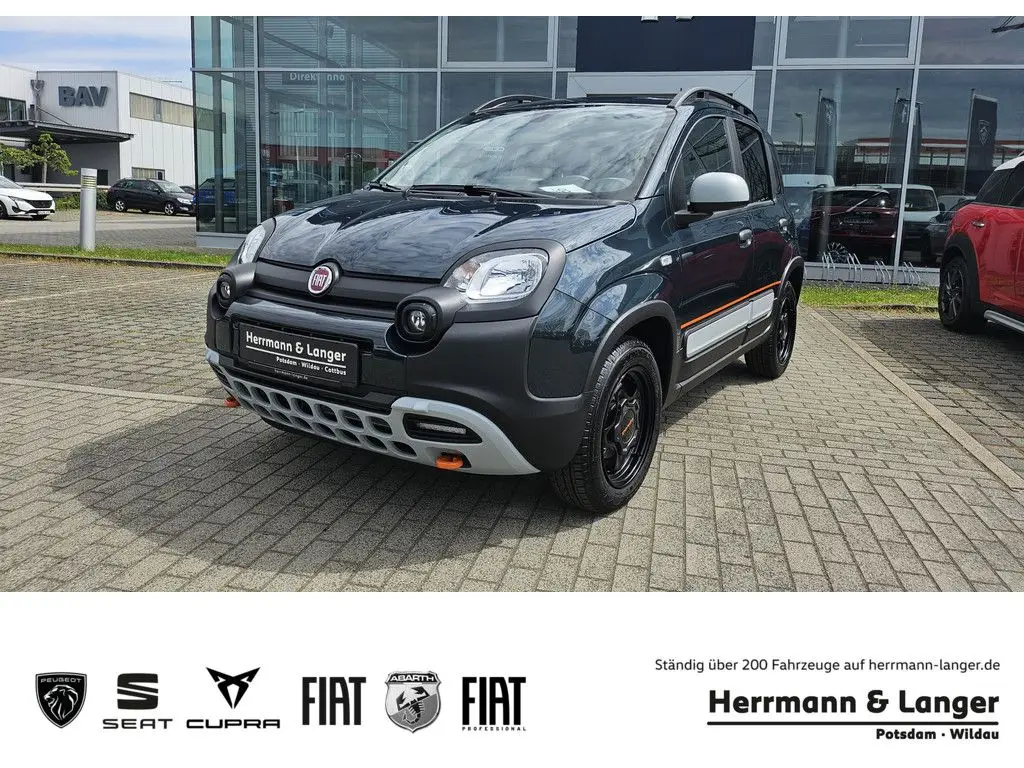 Photo 1 : Fiat Panda 2024 Petrol