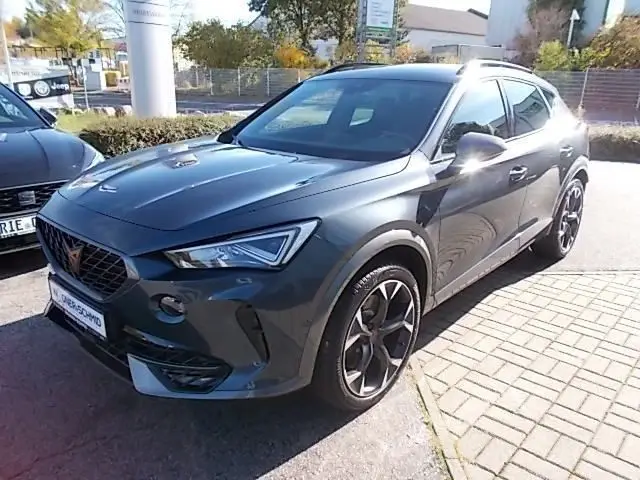 Photo 1 : Cupra Formentor 2020 Petrol