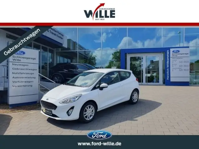 Photo 1 : Ford Fiesta 2019 Petrol