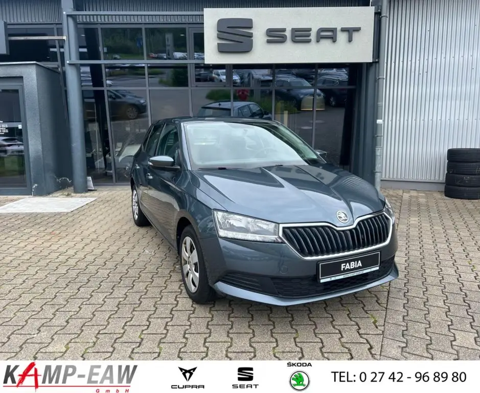 Photo 1 : Skoda Fabia 2019 Petrol