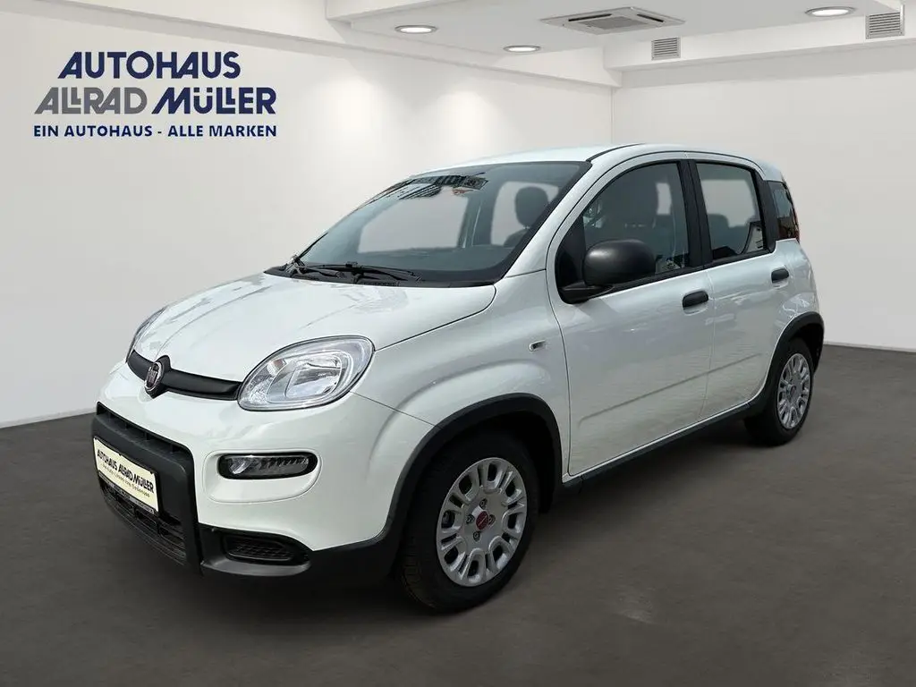 Photo 1 : Fiat Panda 2023 Petrol