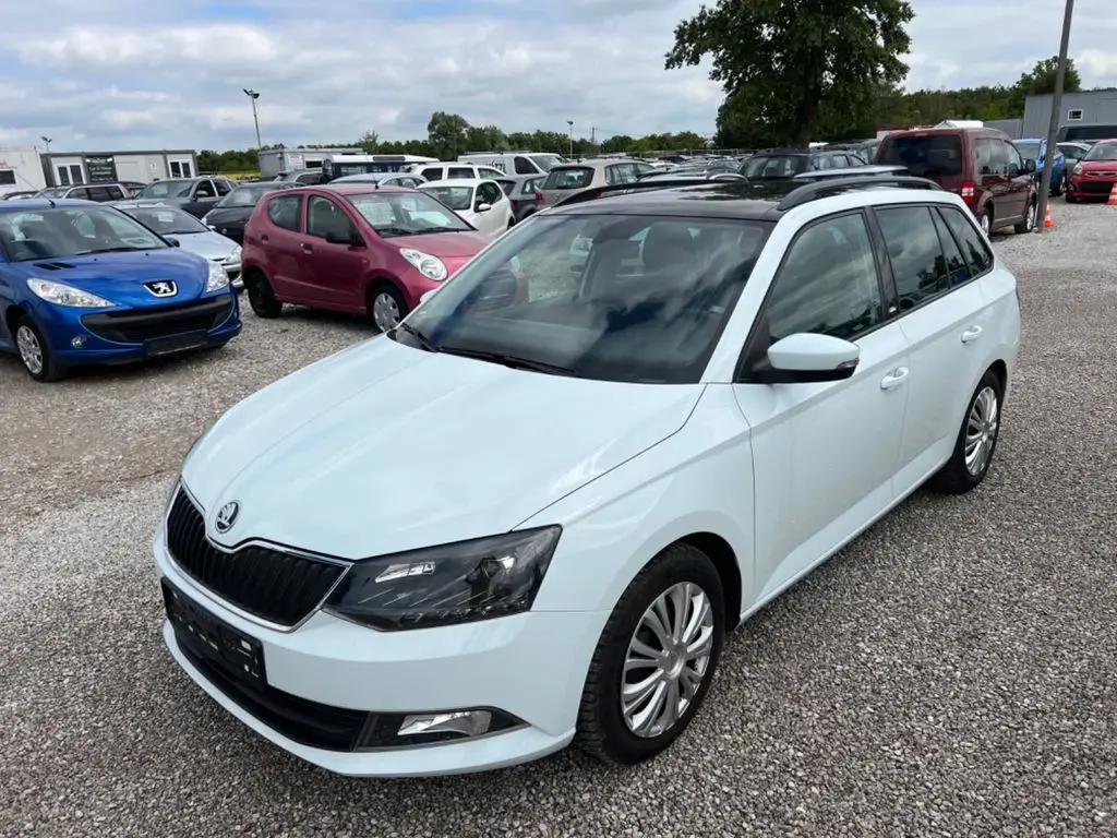 Photo 1 : Skoda Fabia 2016 Petrol