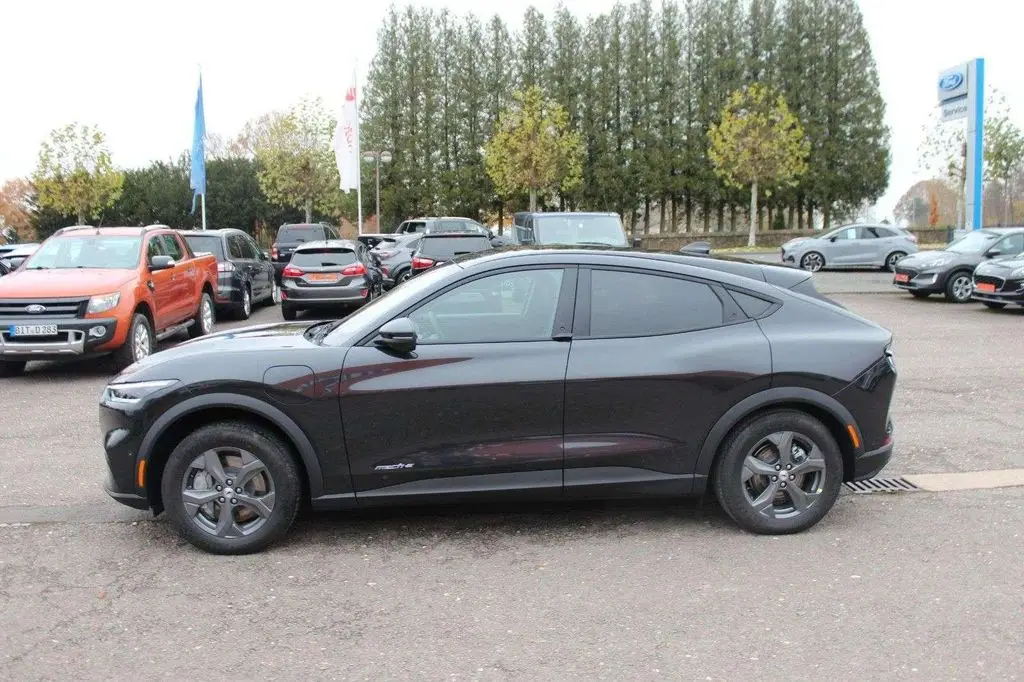 Photo 1 : Ford Mustang 2022 Not specified