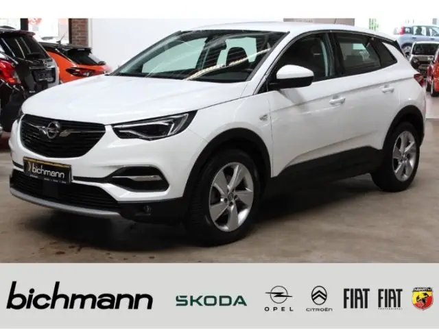 Photo 1 : Opel Grandland 2020 Petrol