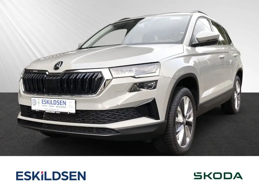 Photo 1 : Skoda Karoq 2023 Diesel