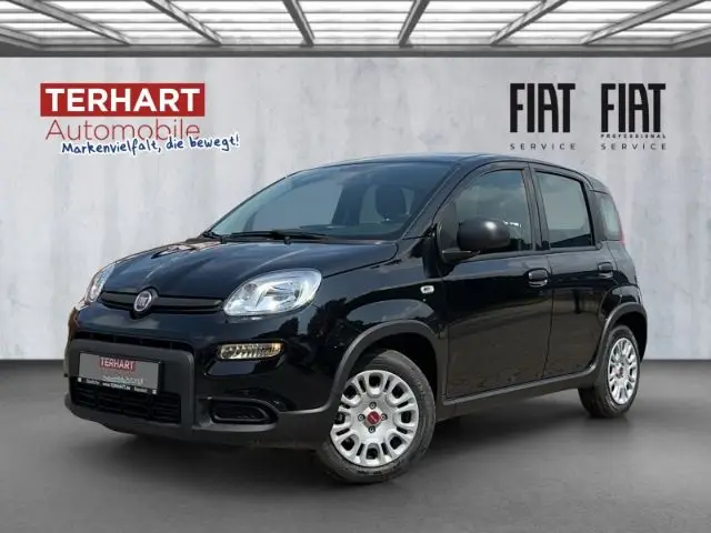 Photo 1 : Fiat Panda 2024 Petrol