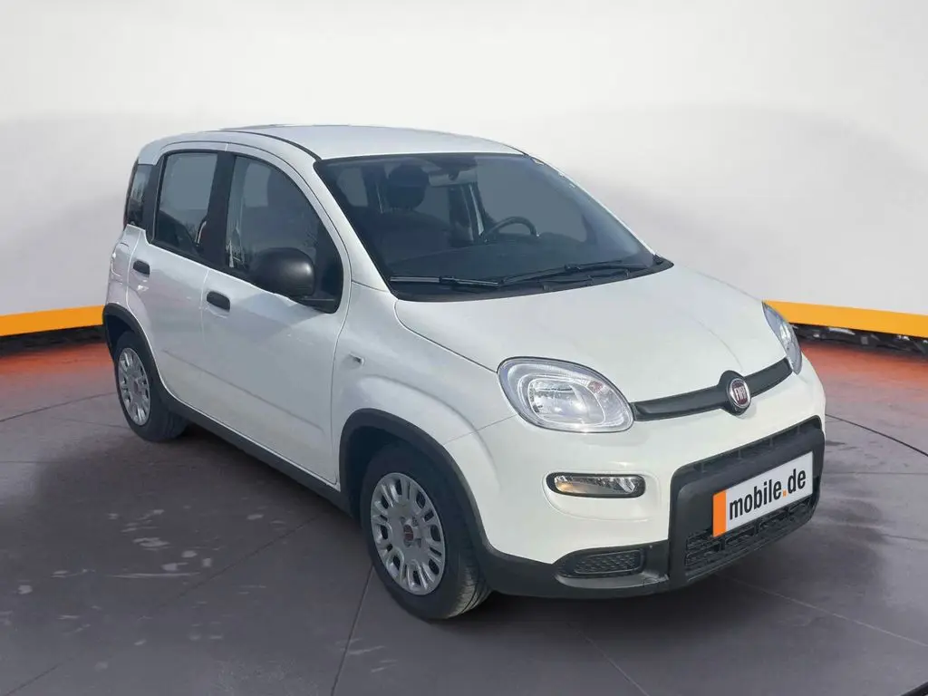 Photo 1 : Fiat Panda 2024 Essence