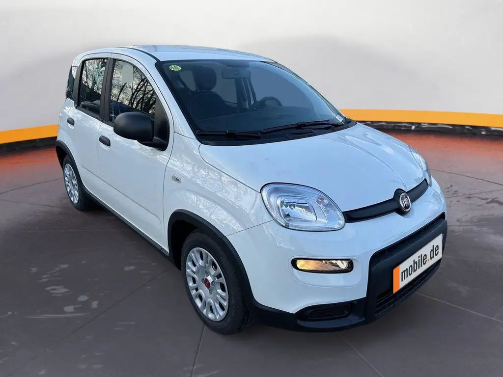 Photo 1 : Fiat Panda 2024 Petrol