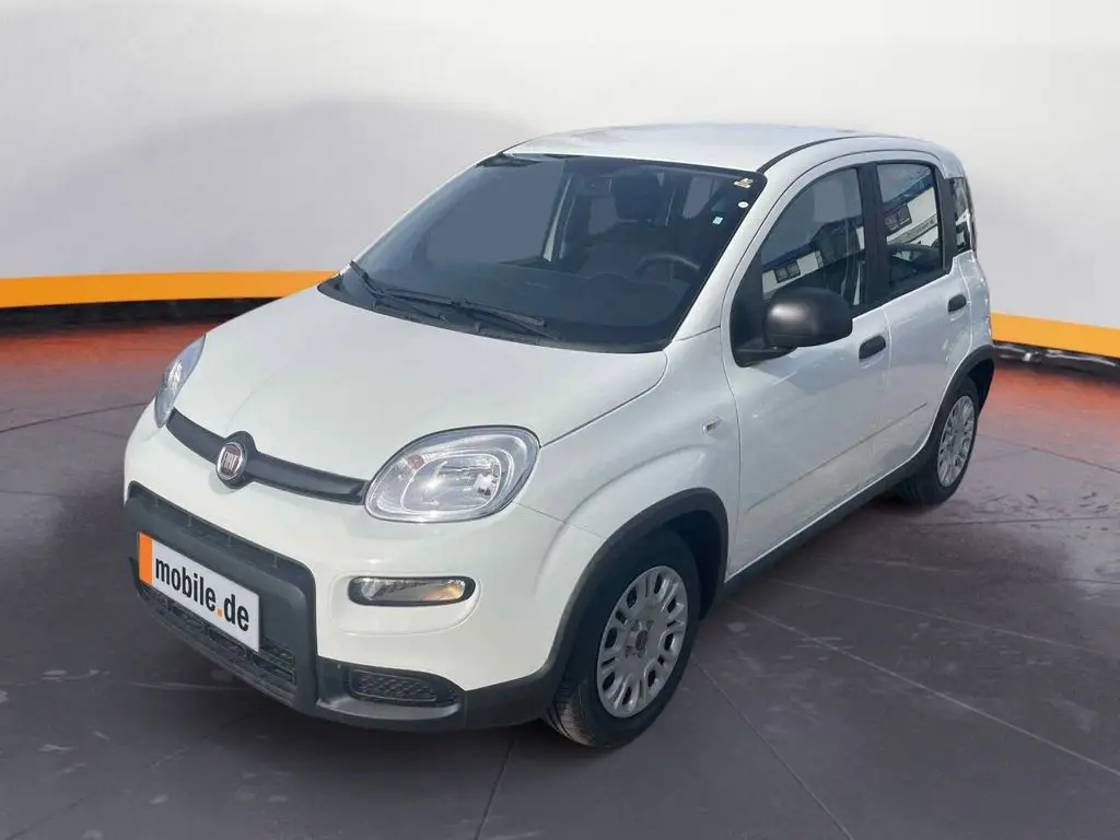 Photo 1 : Fiat Panda 2024 Petrol