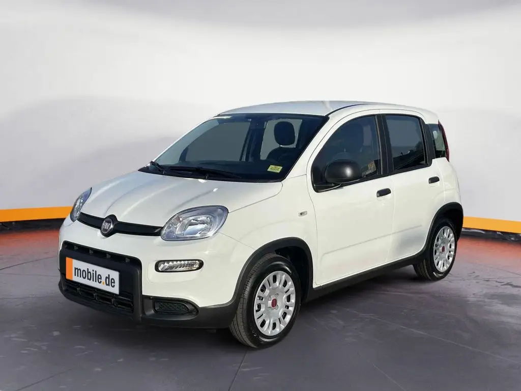 Photo 1 : Fiat Panda 2024 Petrol