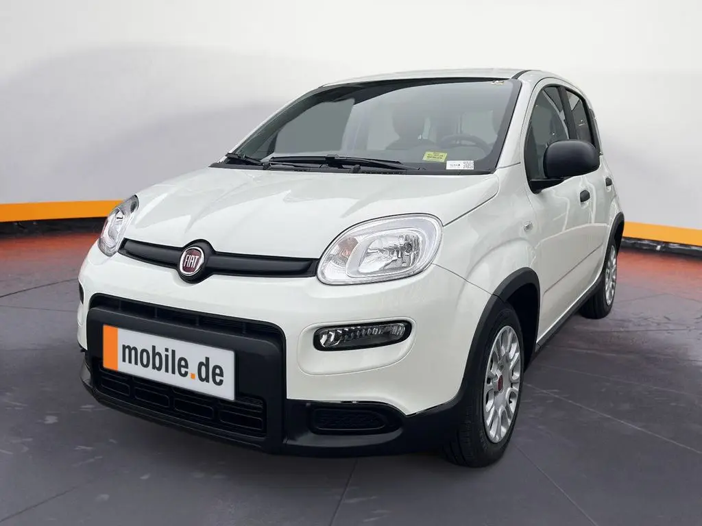 Photo 1 : Fiat Panda 2024 Petrol