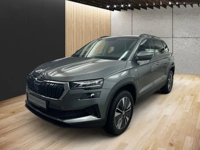 Photo 1 : Skoda Karoq 2023 Diesel