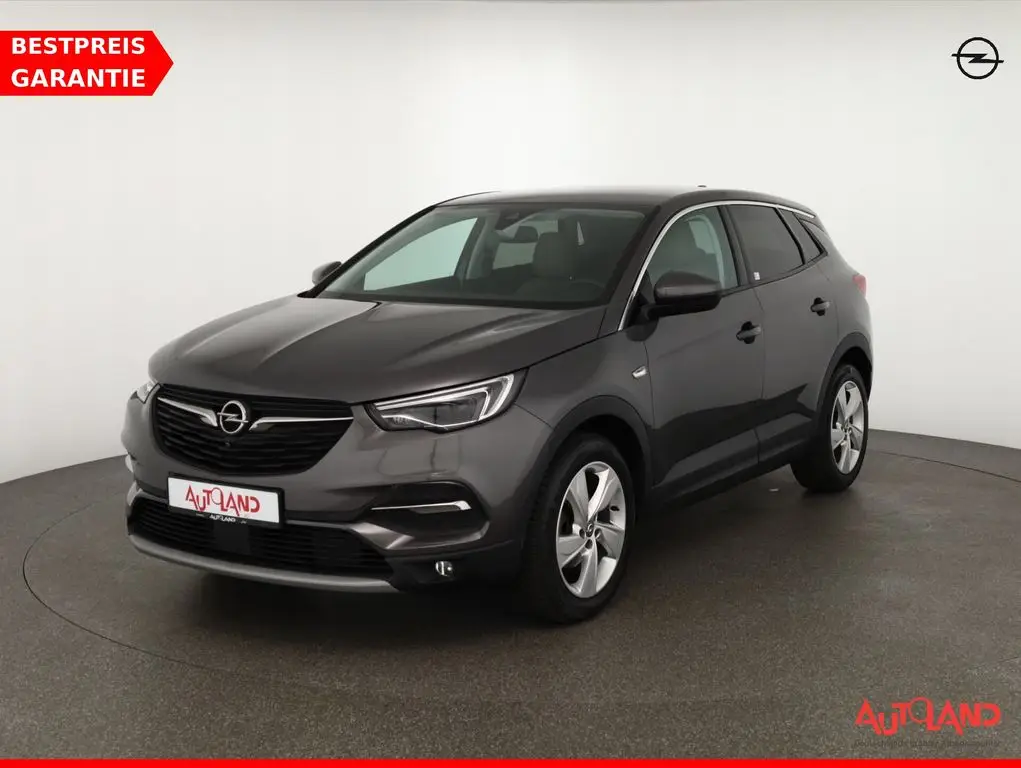 Photo 1 : Opel Grandland 2019 Petrol