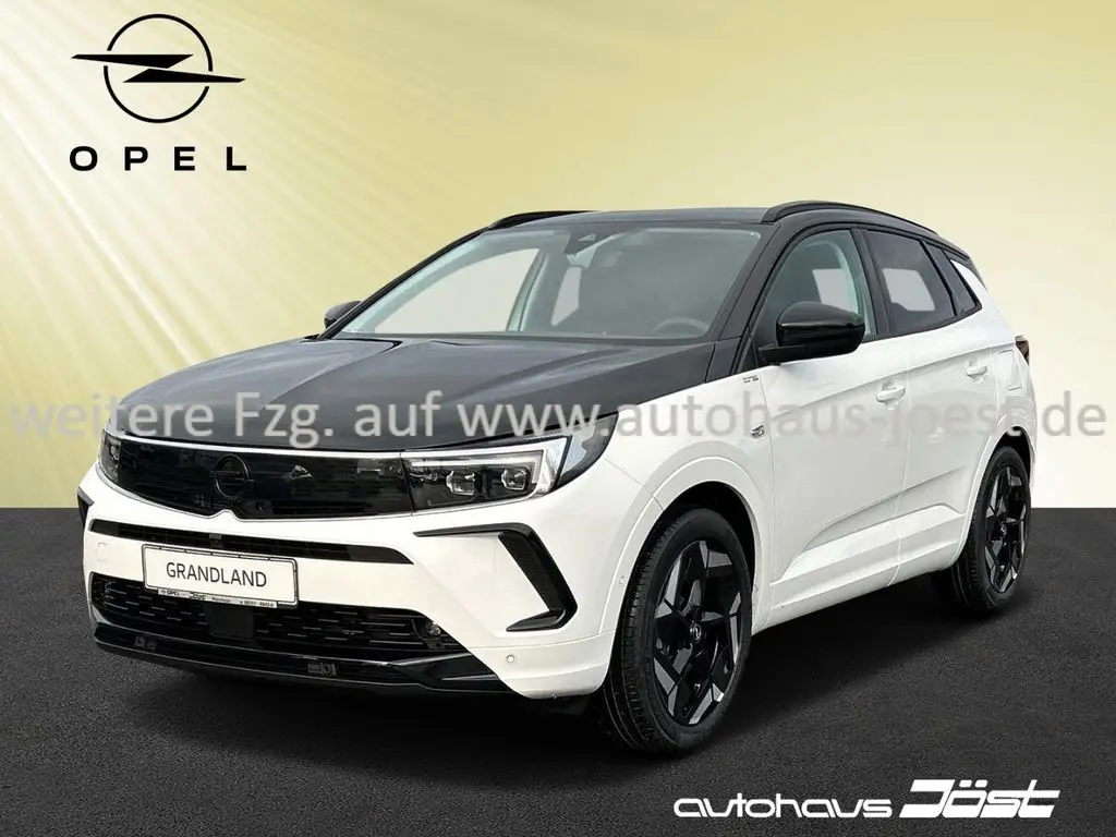 Photo 1 : Opel Grandland 2022 Hybride