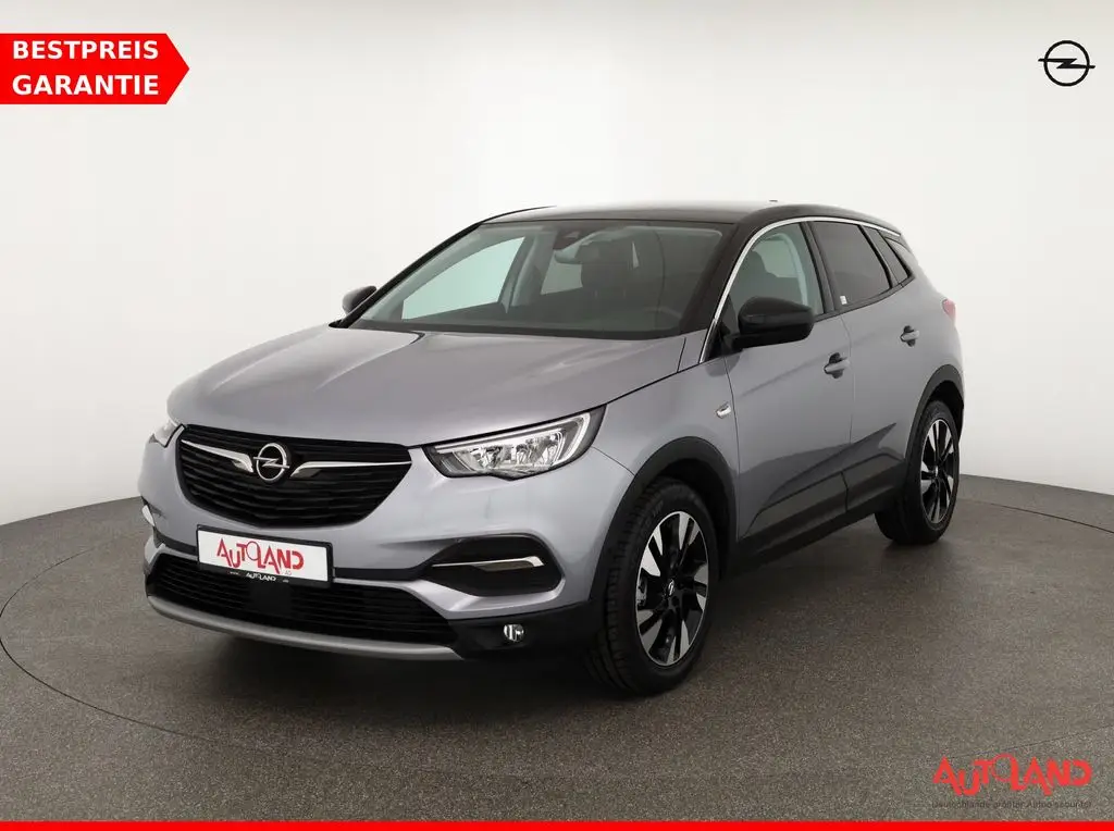 Photo 1 : Opel Grandland 2020 Petrol