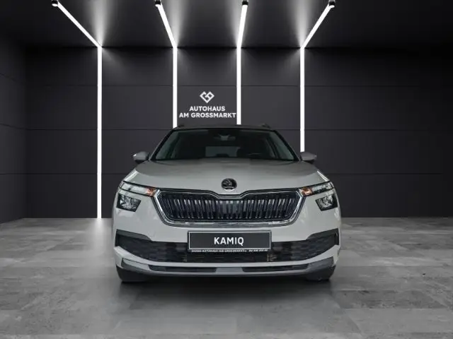 Photo 1 : Skoda Kamiq 2020 Autres