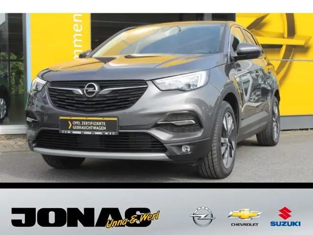 Photo 1 : Opel Grandland 2020 Petrol