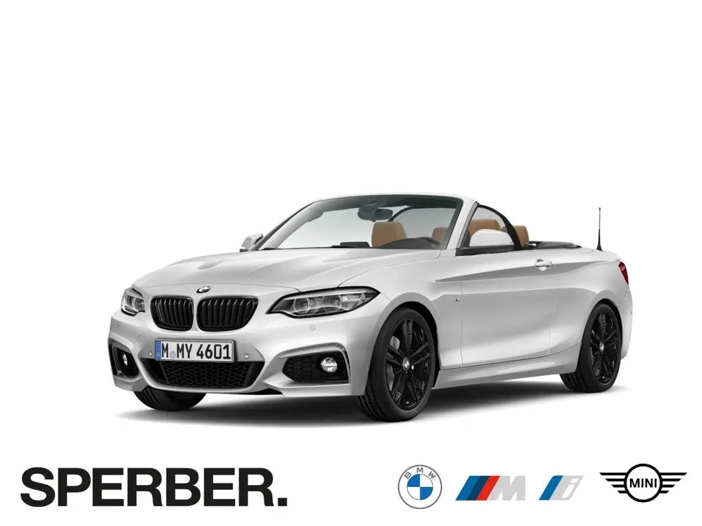 Photo 1 : Bmw Serie 2 2019 Petrol