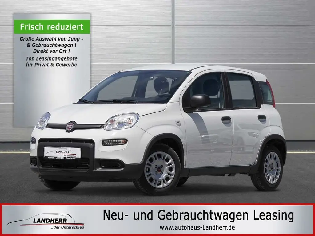 Photo 1 : Fiat Panda 2024 Petrol