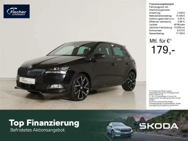 Photo 1 : Skoda Fabia 2020 Petrol