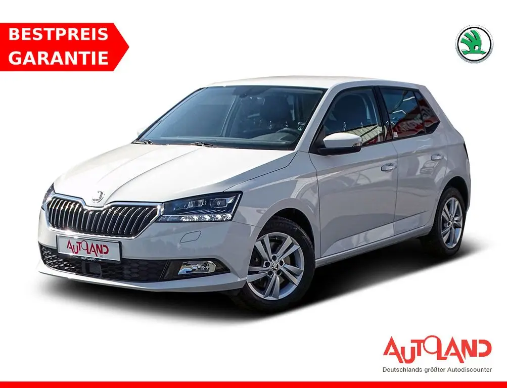 Photo 1 : Skoda Fabia 2019 Petrol