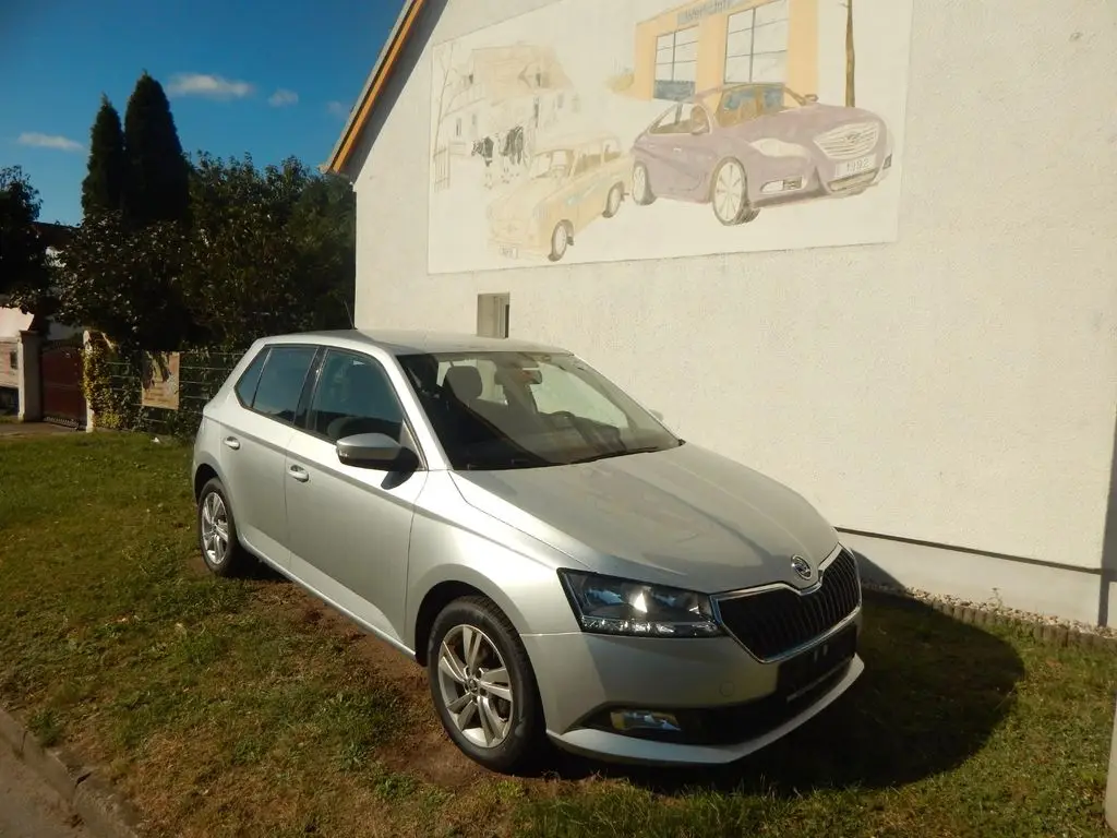 Photo 1 : Skoda Fabia 2019 Petrol