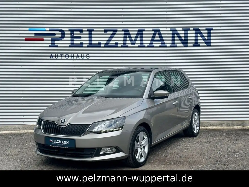 Photo 1 : Skoda Fabia 2015 Petrol